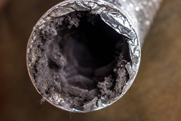 Best Affordable Duct Cleaning Services  in Vaughn, WA